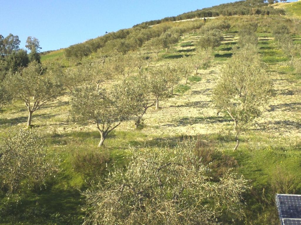 הוילה אגריג'נטו Agriturismo Due Ganee מראה חיצוני תמונה
